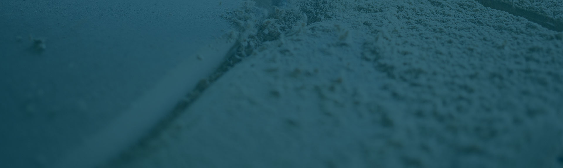 &nbsp;